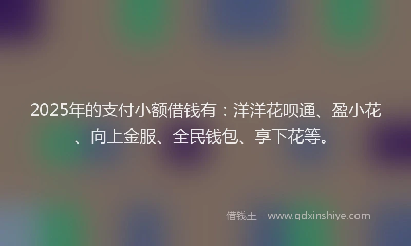 2025年的支付小额借钱有：洋洋花呗通、盈小花、向上金服、全民钱包、享下花等。