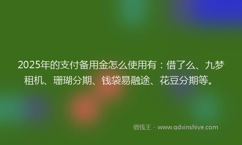 2025年的支付备用金怎么使用有：借了么、九梦租机、珊瑚分期、钱袋易融途、花豆分期等。