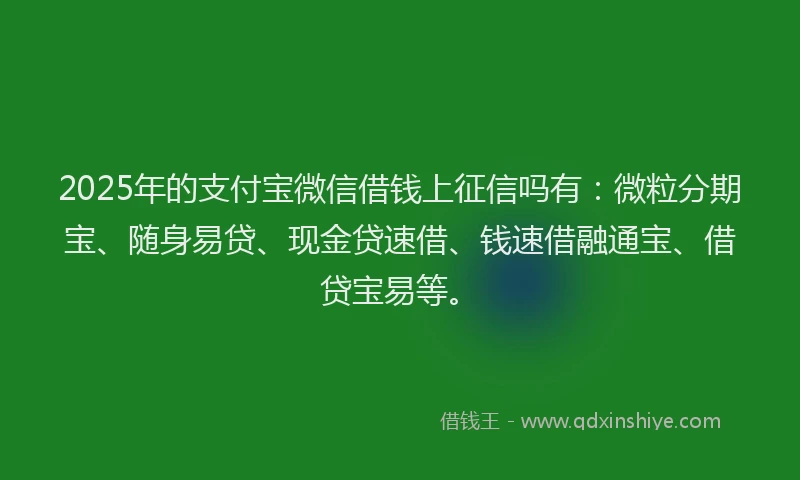 2025年的支付宝微信借钱上征信吗有：微粒分期宝、随身易贷、现金贷速借、钱速借融通宝、借贷宝易等。