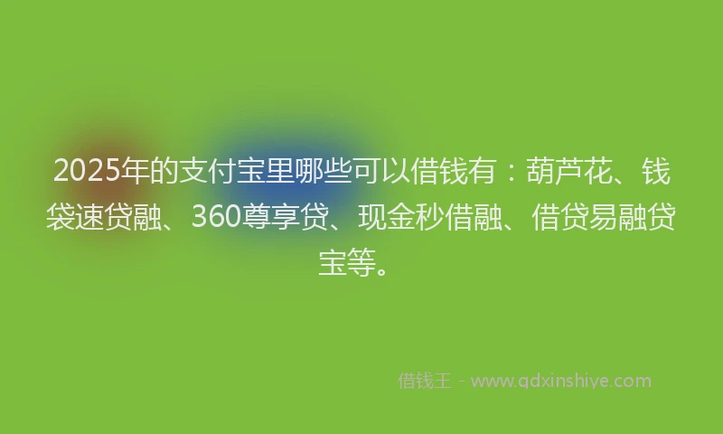 2025年的支付宝里哪些可以借钱有：葫芦花、钱袋速贷融、360尊享贷、现金秒借融、借贷易融贷宝等。