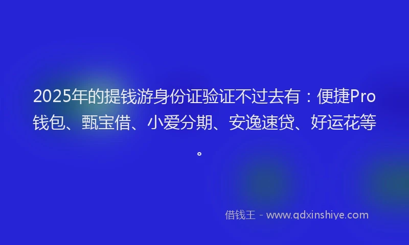 2025年的提钱游身份证验证不过去有：便捷Pro钱包、甄宝借、小爱分期、安逸速贷、好运花等。