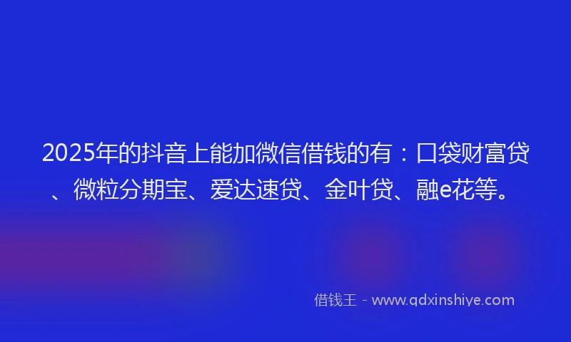 2025年的抖音上能加微信借钱的有：口袋财富贷、微粒分期宝、爱达速贷、金叶贷、融e花等。