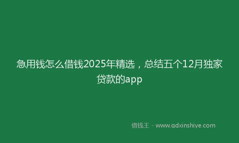 急用钱怎么借钱2025年精选，总结五个12月独家贷款的app