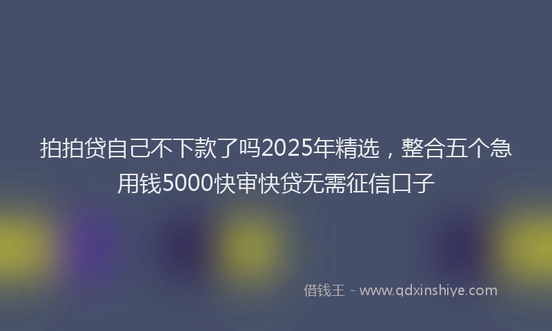 拍拍贷自己不下款了吗2025年精选，整合五个急用钱5000快审快贷无需征信口子