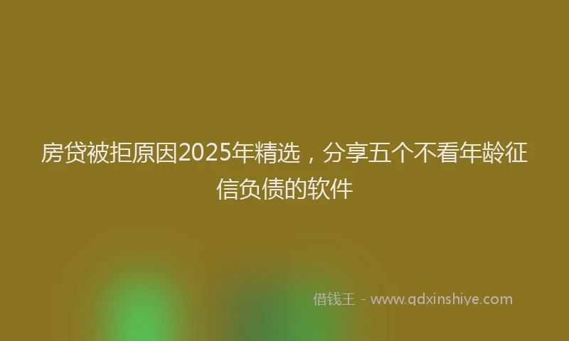 房贷被拒原因2025年精选，分享五个不看年龄征信负债的软件
