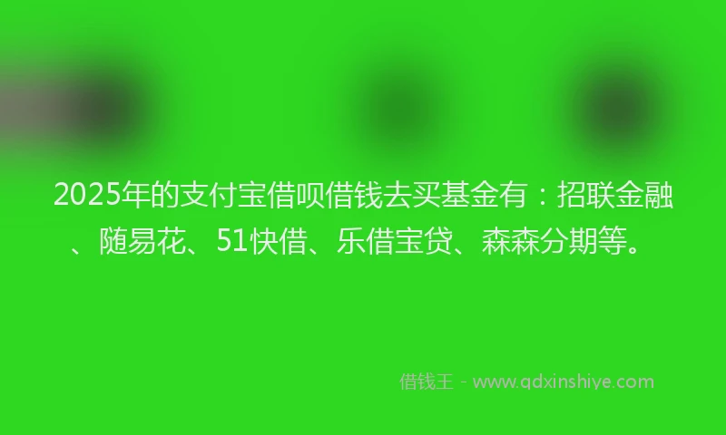 2025年的支付宝借呗借钱去买基金有：招联金融、随易花、51快借、乐借宝贷、森森分期等。