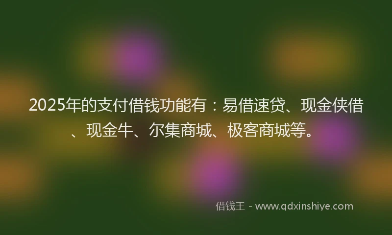 2025年的支付借钱功能有：易借速贷、现金侠借、现金牛、尔集商城、极客商城等。