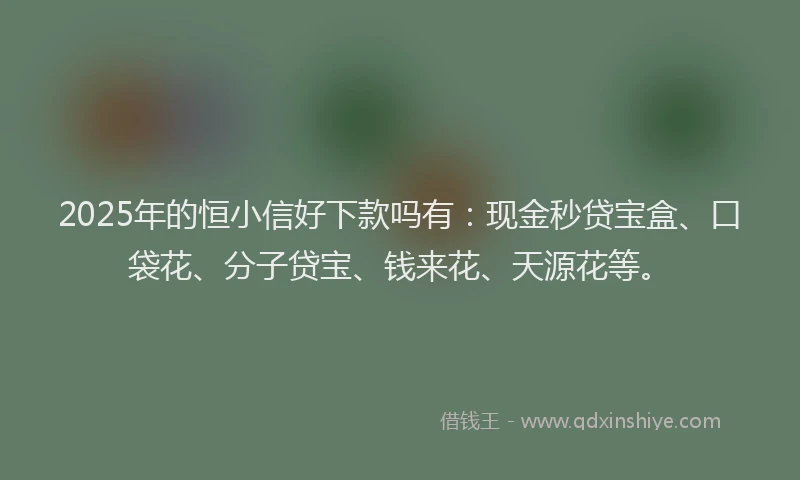 2025年的恒小信好下款吗有：现金秒贷宝盒、口袋花、分子贷宝、钱来花、天源花等。
