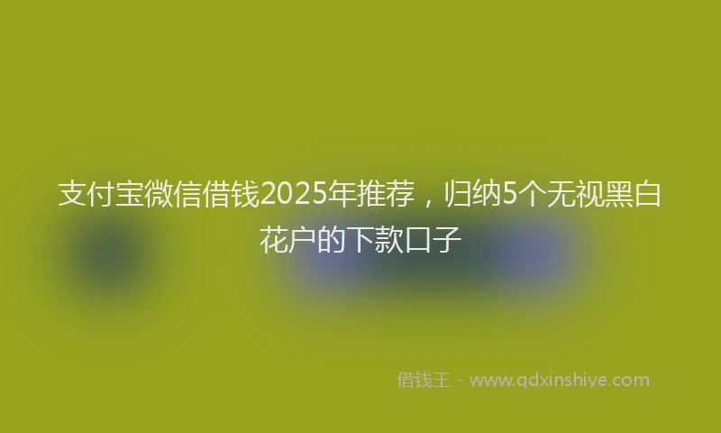 支付宝微信借钱2025年推荐，归纳5个无视黑白花户的下款口子