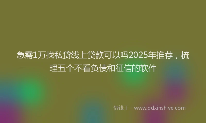 急需1万找私贷线上贷款可以吗2025年推荐，梳理五个不看负债和征信的软件