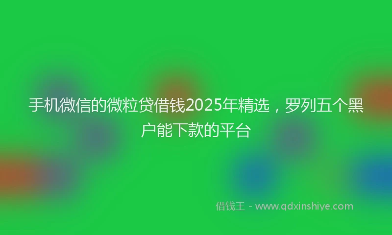 手机微信的微粒贷借钱2025年精选，罗列五个黑户能下款的平台