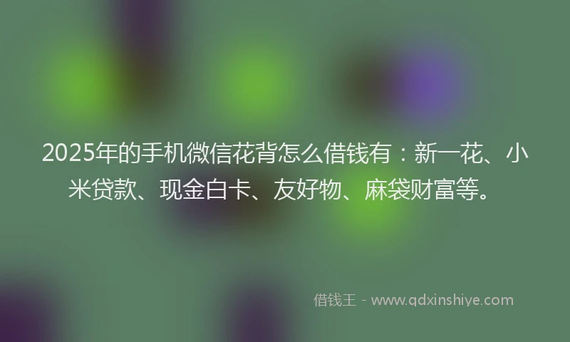 2025年的手机微信花背怎么借钱有：新一花、小米贷款、现金白卡、友好物、麻袋财富等。