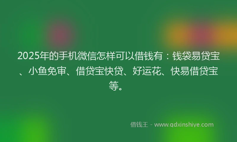 2025年的手机微信怎样可以借钱有：钱袋易贷宝、小鱼免审、借贷宝快贷、好运花、快易借贷宝等。