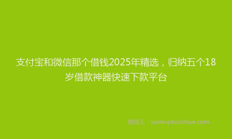 支付宝和微信那个借钱2025年精选，归纳五个18岁借款神器快速下款平台