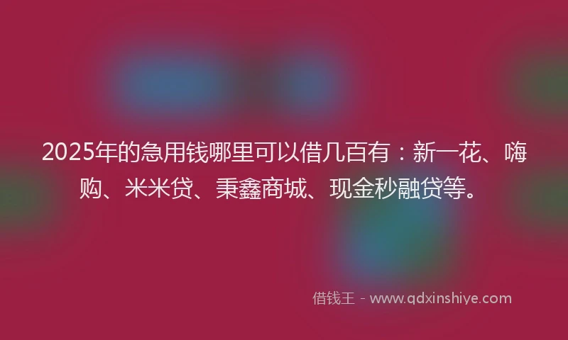 2025年的急用钱哪里可以借几百有：新一花、嗨购、米米贷、秉鑫商城、现金秒融贷等。