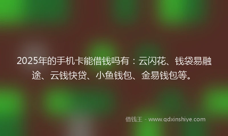 2025年的手机卡能借钱吗有：云闪花、钱袋易融途、云钱快贷、小鱼钱包、金易钱包等。