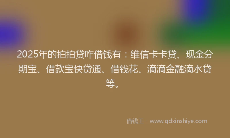 2025年的拍拍贷咋借钱有：维信卡卡贷、现金分期宝、借款宝快贷通、借钱花、滴滴金融滴水贷等。