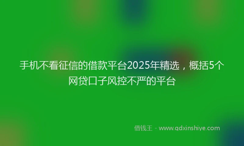 手机不看征信的借款平台2025年精选，概括5个网贷口子风控不严的平台