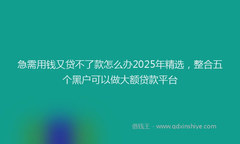 急需用钱又贷不了款怎么办2025年精选，整合五个黑户可以做大额贷款平台