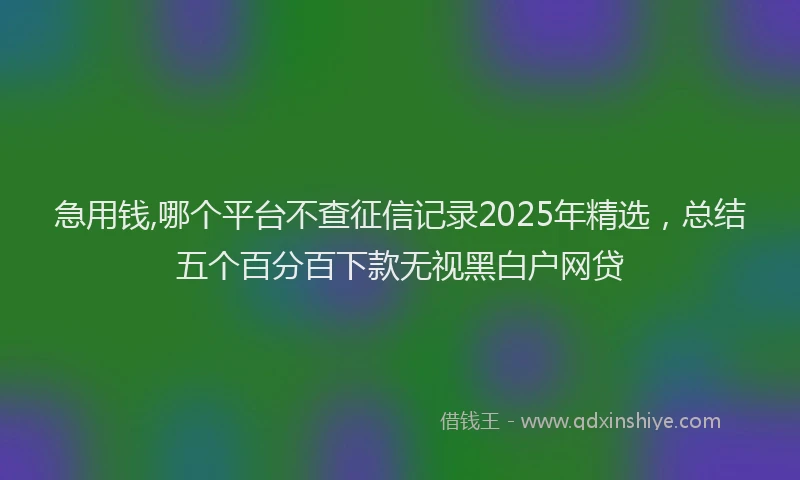 急用钱,哪个平台不查征信记录2025年精选，总结五个百分百下款无视黑白户网贷