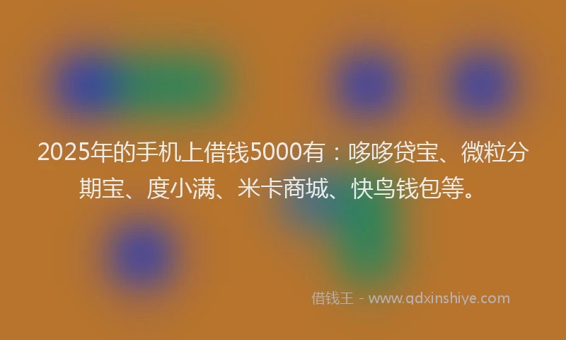 2025年的手机上借钱5000有：哆哆贷宝、微粒分期宝、度小满、米卡商城、快鸟钱包等。