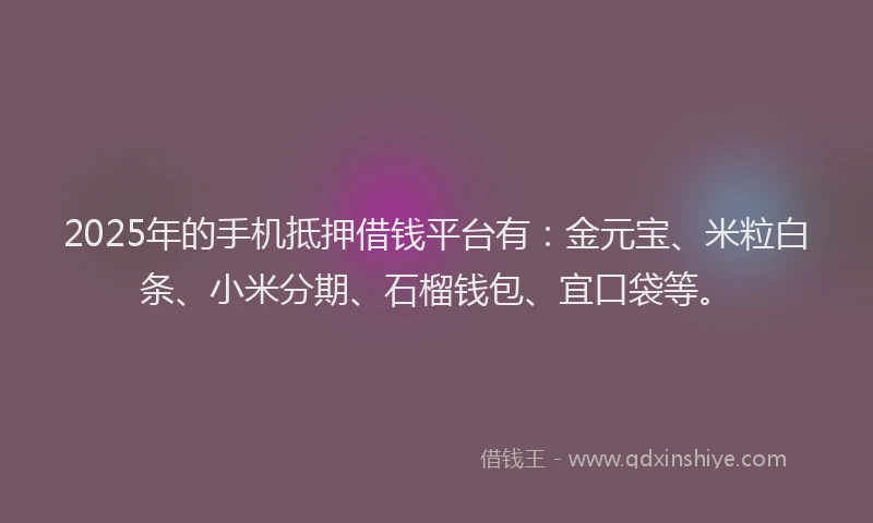 2025年的手机抵押借钱平台有：金元宝、米粒白条、小米分期、石榴钱包、宜口袋等。