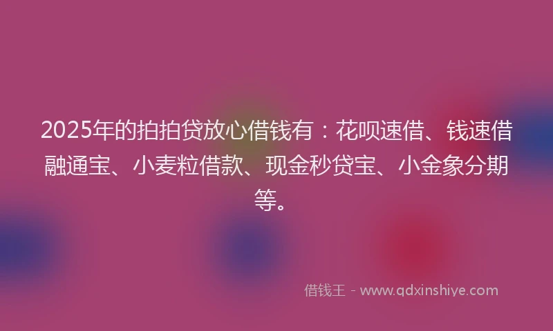 2025年的拍拍贷放心借钱有：花呗速借、钱速借融通宝、小麦粒借款、现金秒贷宝、小金象分期等。