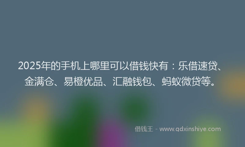2025年的手机上哪里可以借钱快有：乐借速贷、金满仓、易橙优品、汇融钱包、蚂蚁微贷等。
