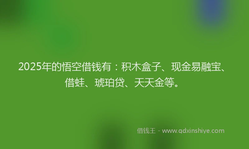 2025年的悟空借钱有：积木盒子、现金易融宝、借蛙、琥珀贷、天天金等。