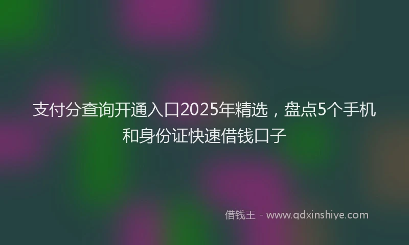 支付分查询开通入口2025年精选，盘点5个手机和身份证快速借钱口子