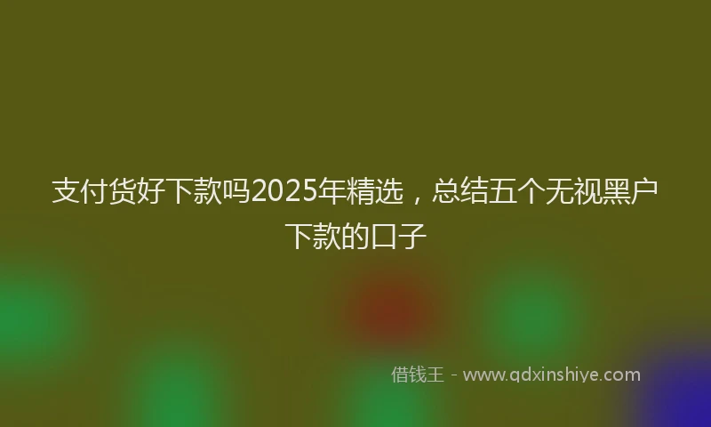 支付货好下款吗2025年精选，总结五个无视黑户下款的口子