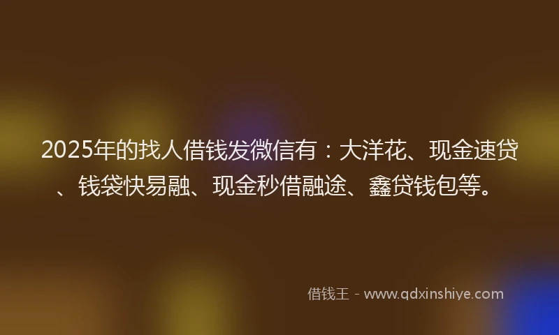 2025年的找人借钱发微信有：大洋花、现金速贷、钱袋快易融、现金秒借融途、鑫贷钱包等。