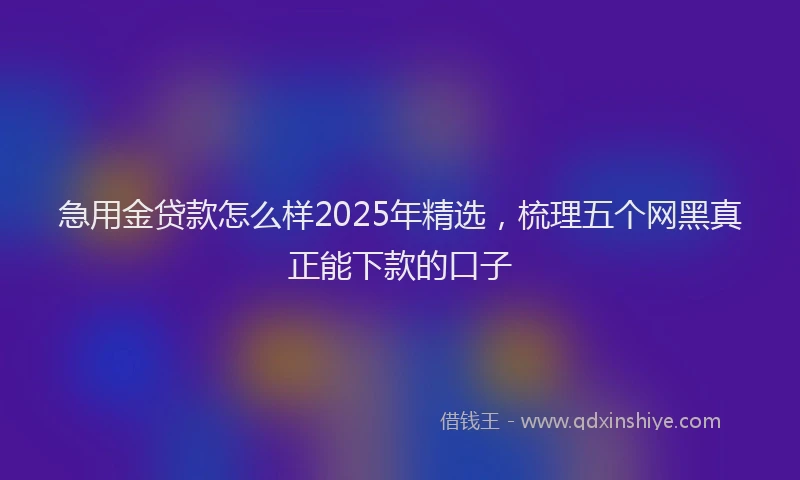 急用金贷款怎么样2025年精选，梳理五个网黑真正能下款的口子