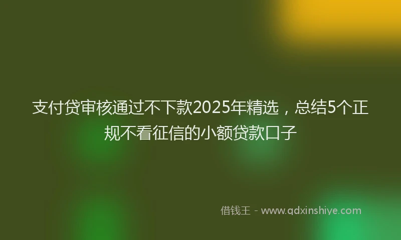支付贷审核通过不下款2025年精选，总结5个正规不看征信的小额贷款口子