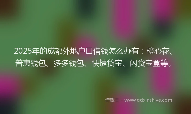 2025年的成都外地户口借钱怎么办有：橙心花、普惠钱包、多多钱包、快捷贷宝、闪贷宝盒等。