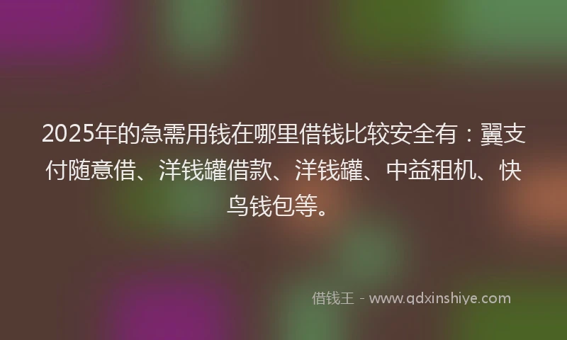 2025年的急需用钱在哪里借钱比较安全有：翼支付随意借、洋钱罐借款、洋钱罐、中益租机、快鸟钱包等。