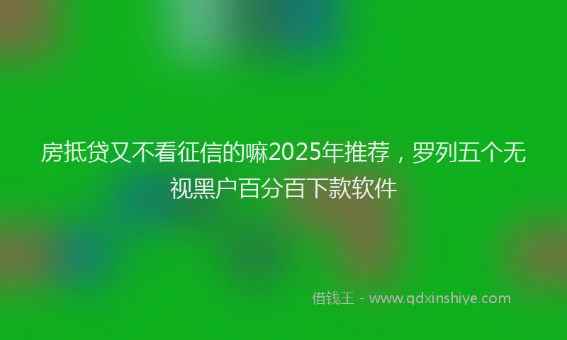 房抵贷又不看征信的嘛2025年推荐，罗列五个无视黑户百分百下款软件
