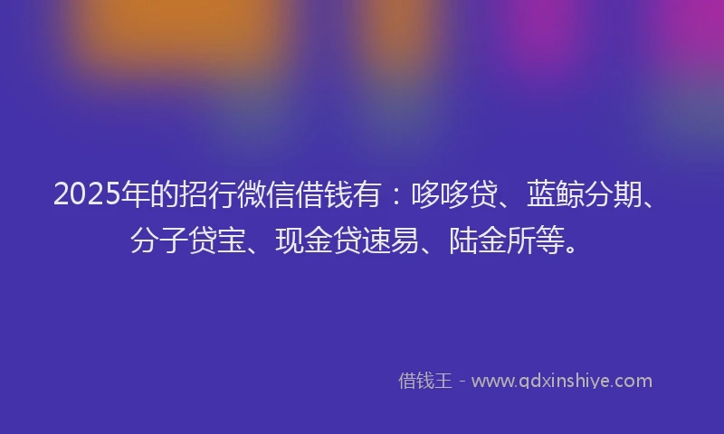 2025年的招行微信借钱有：哆哆贷、蓝鲸分期、分子贷宝、现金贷速易、陆金所等。