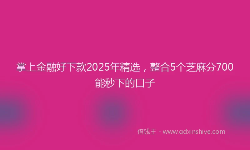 掌上金融好下款2025年精选，整合5个芝麻分700能秒下的口子