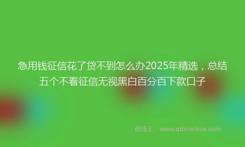 急用钱征信花了贷不到怎么办2025年精选，总结五个不看征信无视黑白百分百下款口子