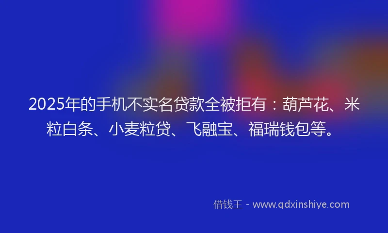 2025年的手机不实名贷款全被拒有：葫芦花、米粒白条、小麦粒贷、飞融宝、福瑞钱包等。