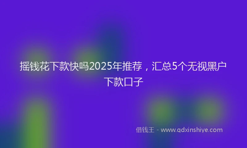 摇钱花下款快吗2025年推荐，汇总5个无视黑户下款口子