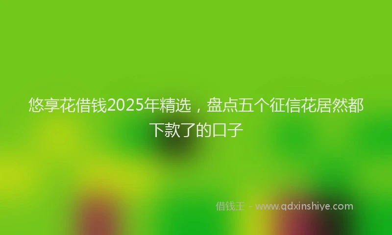 悠享花借钱2025年精选，盘点五个征信花居然都下款了的口子