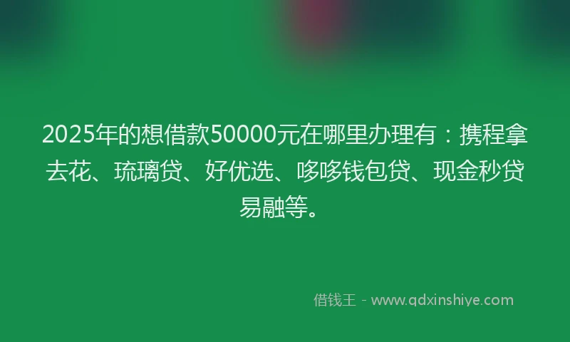 2025年的想借款50000元在哪里办理有：携程拿去花、琉璃贷、好优选、哆哆钱包贷、现金秒贷易融等。