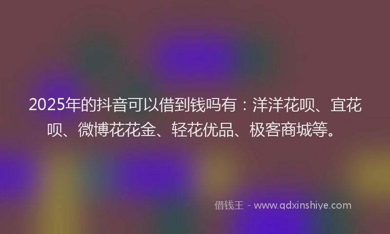 2025年的抖音可以借到钱吗有：洋洋花呗、宜花呗、微博花花金、轻花优品、极客商城等。