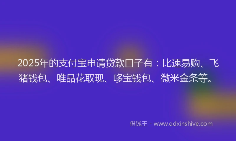 2025年的支付宝申请贷款口子有：比速易购、飞猪钱包、唯品花取现、哆宝钱包、微米金条等。