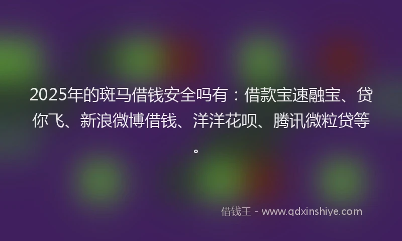 2025年的斑马借钱安全吗有：借款宝速融宝、贷你飞、新浪微博借钱、洋洋花呗、腾讯微粒贷等。