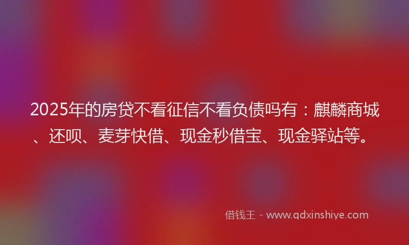 2025年的房贷不看征信不看负债吗有：麒麟商城、还呗、麦芽快借、现金秒借宝、现金驿站等。