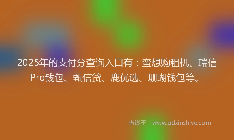 2025年的支付分查询入口有：蛮想购租机、瑞信Pro钱包、甄信贷、鹿优选、珊瑚钱包等。