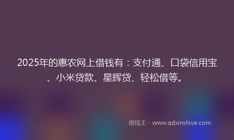 2025年的惠农网上借钱有：支付通、口袋信用宝、小米贷款、星辉贷、轻松借等。